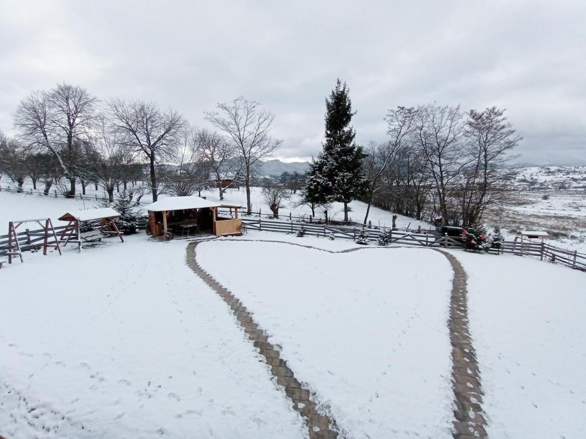 Vila Rem Bran  Exteriör bild